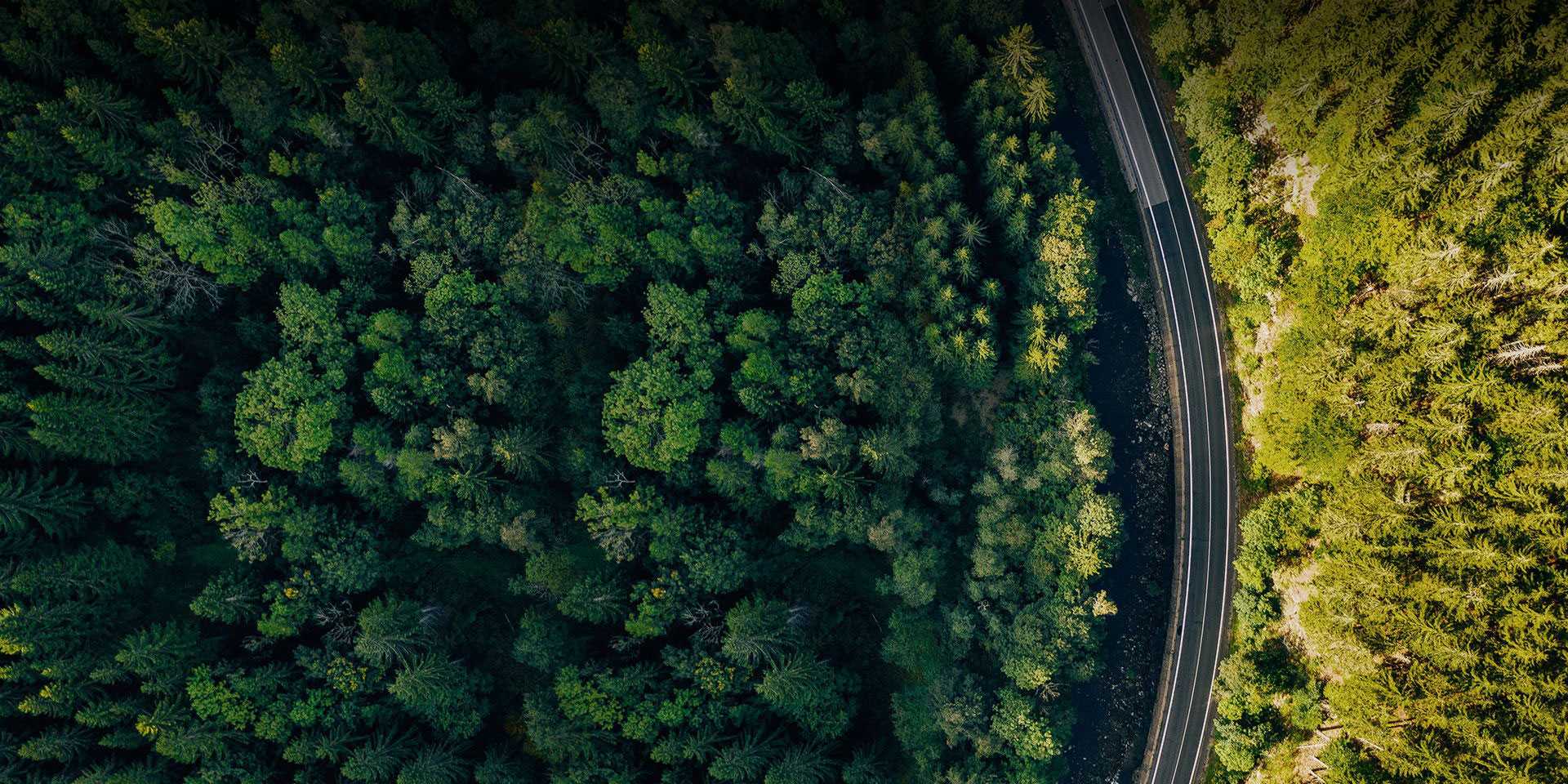 55世纪(中国游)官方网站