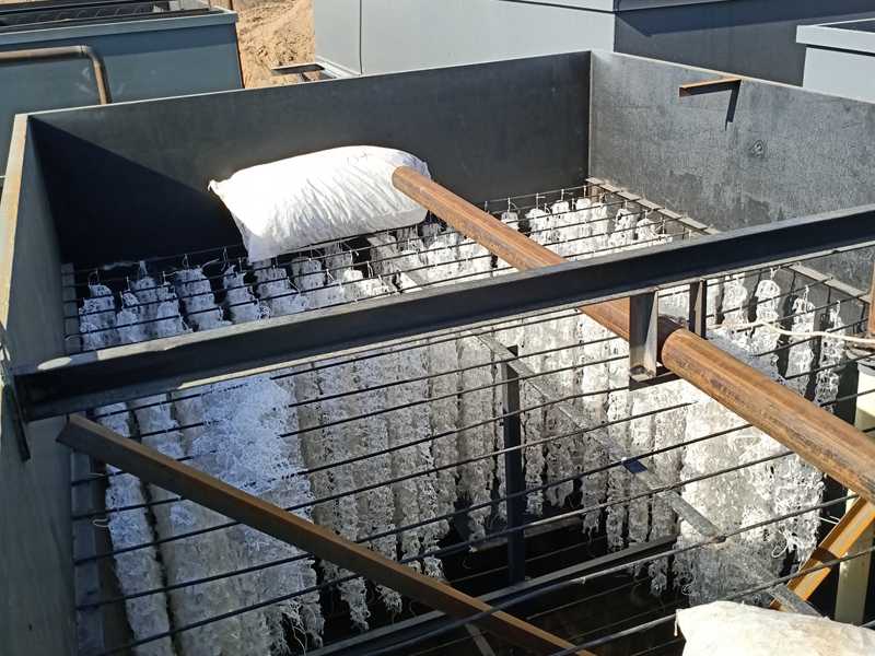 55世纪(中国游)官方网站