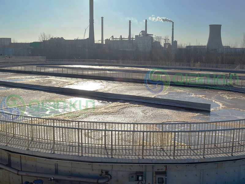 55世纪(中国游)官方网站